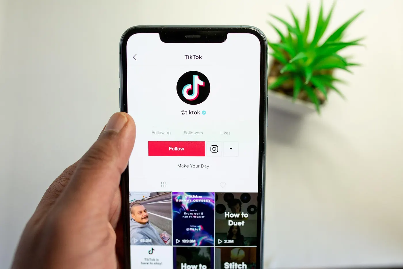 A hand holding a phone showing a TikTok profile